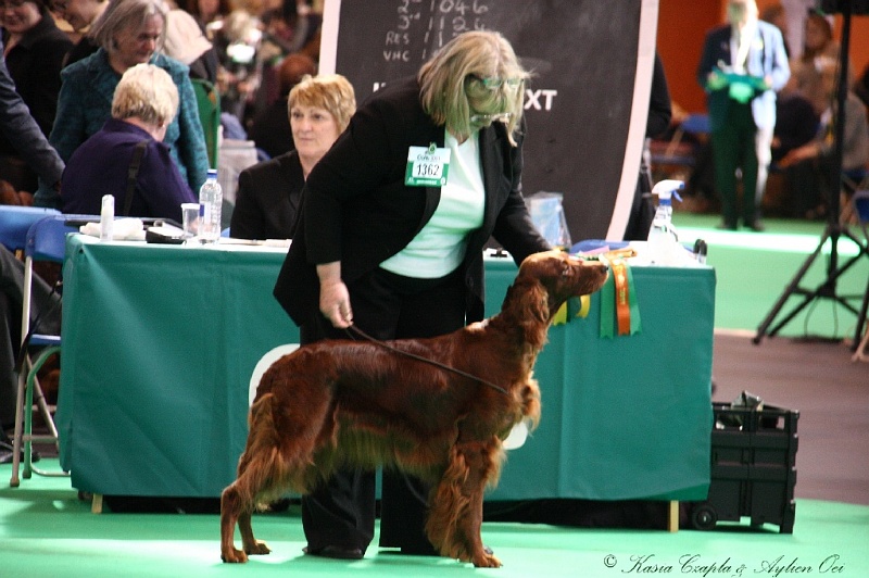 Crufts2011 533.jpg